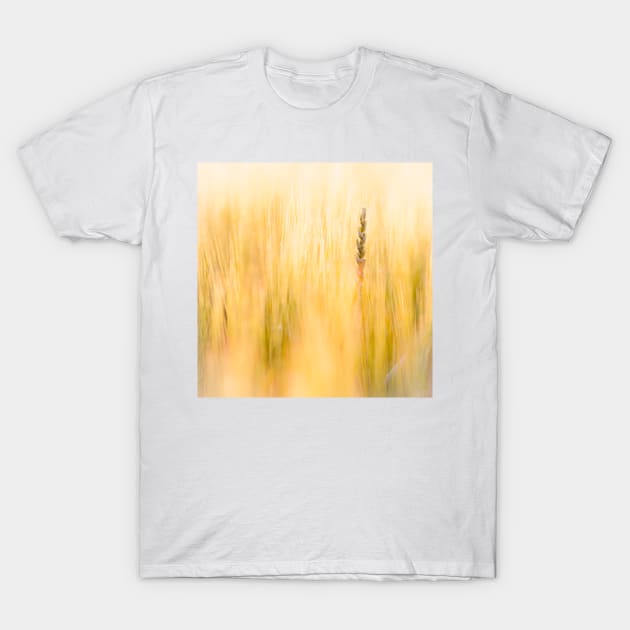 Couch Grass T-Shirt by ansaharju